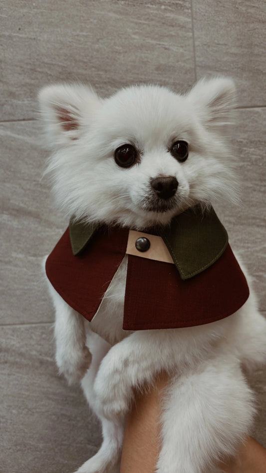 Wellington-Style Pet Bandana